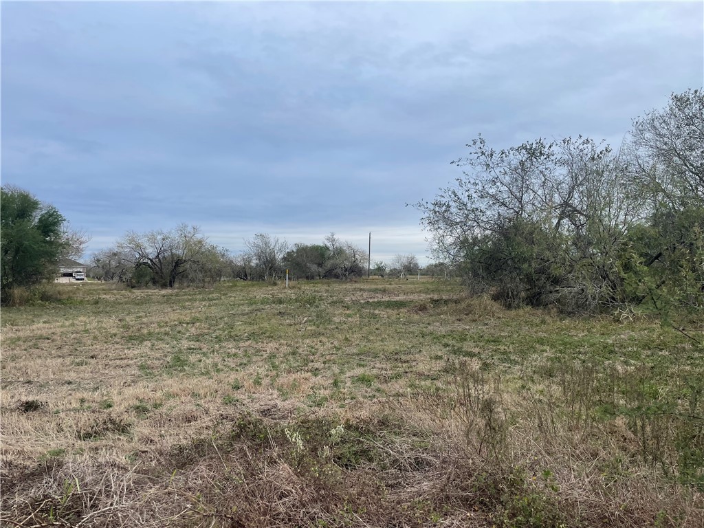 8745 County Road 2411 Property Photo 2