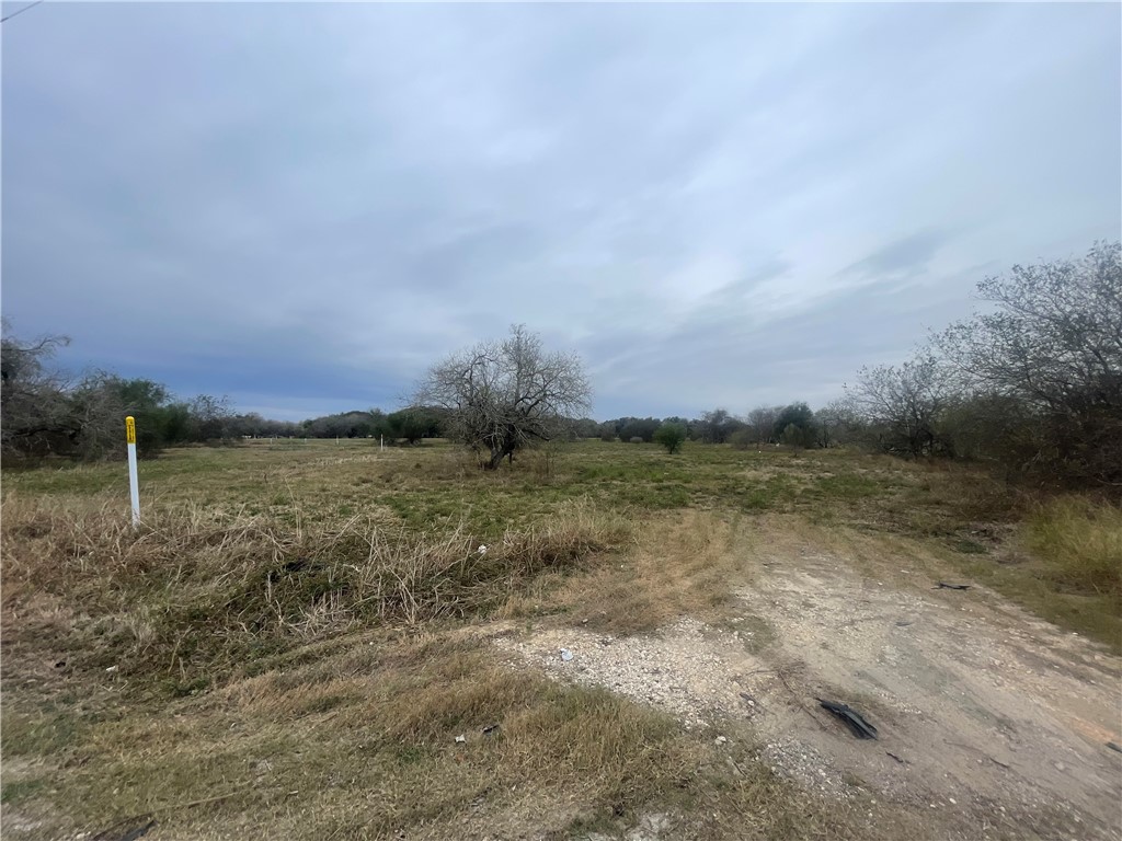 8745 County Road 2411 Property Photo 5