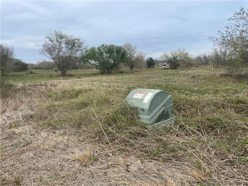 8745 County Road 2411 Property Photo 6