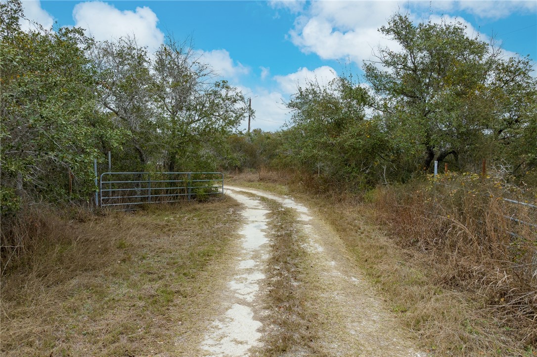 1272 Mack Property Photo 2