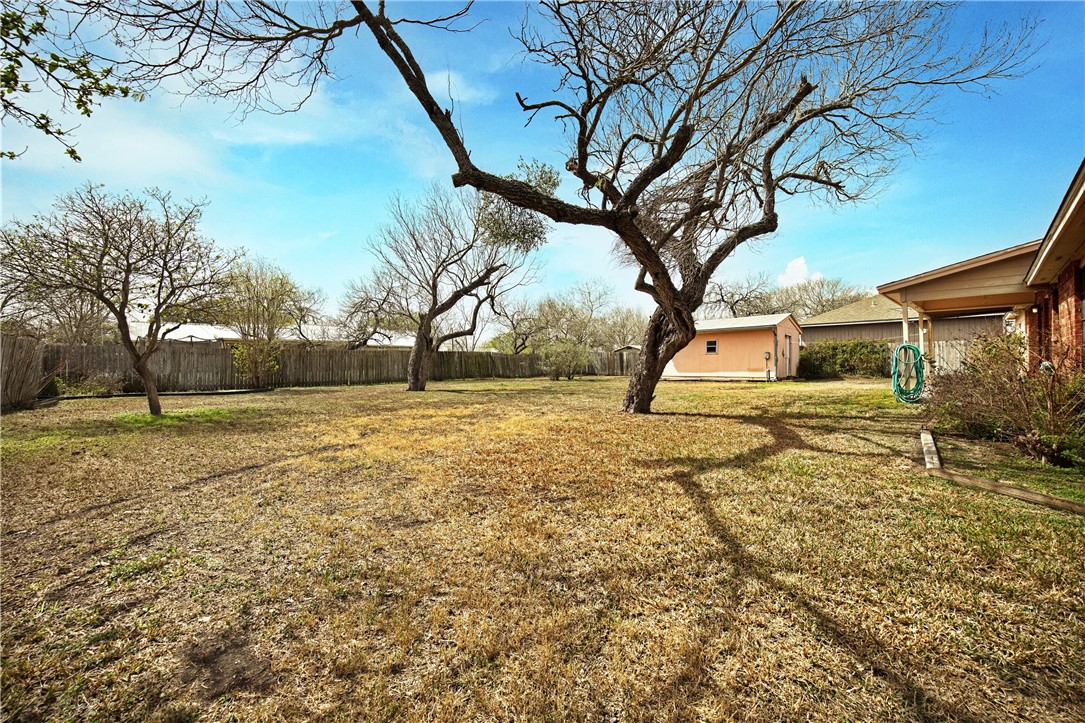 703 W Josephine Ave Property Photo 5