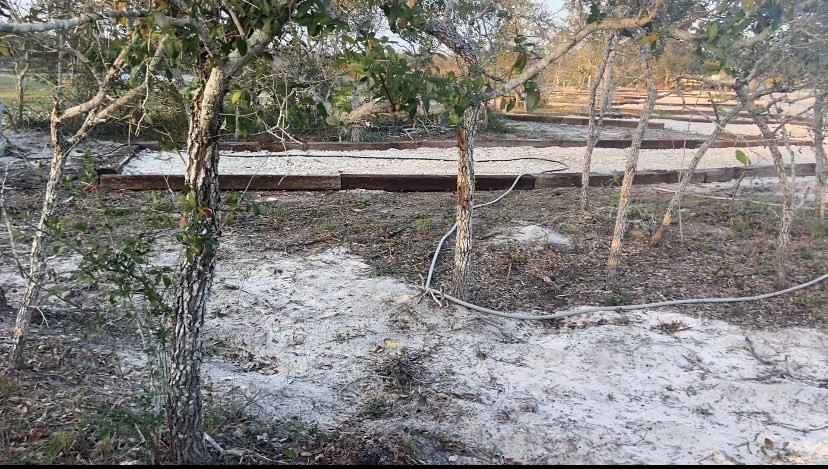 582 Adolfo Dr. Property Photo 26