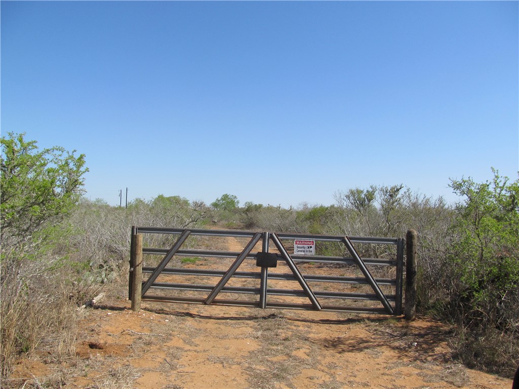 000 Irene Property Photo 2