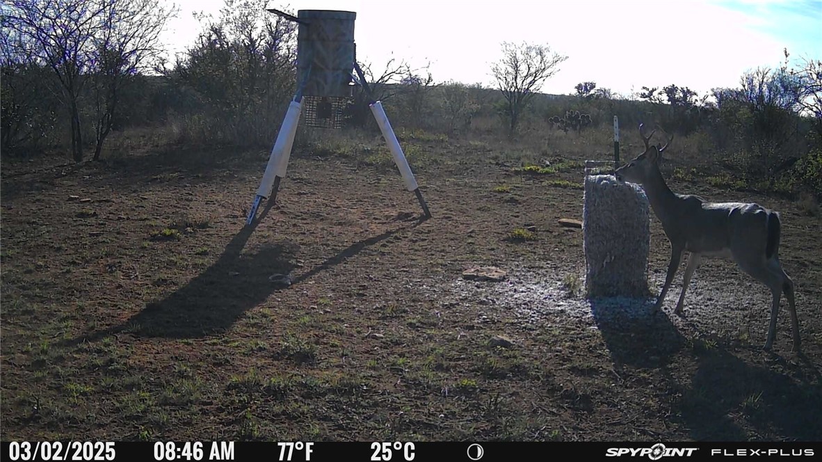 000 Irene Property Photo 11