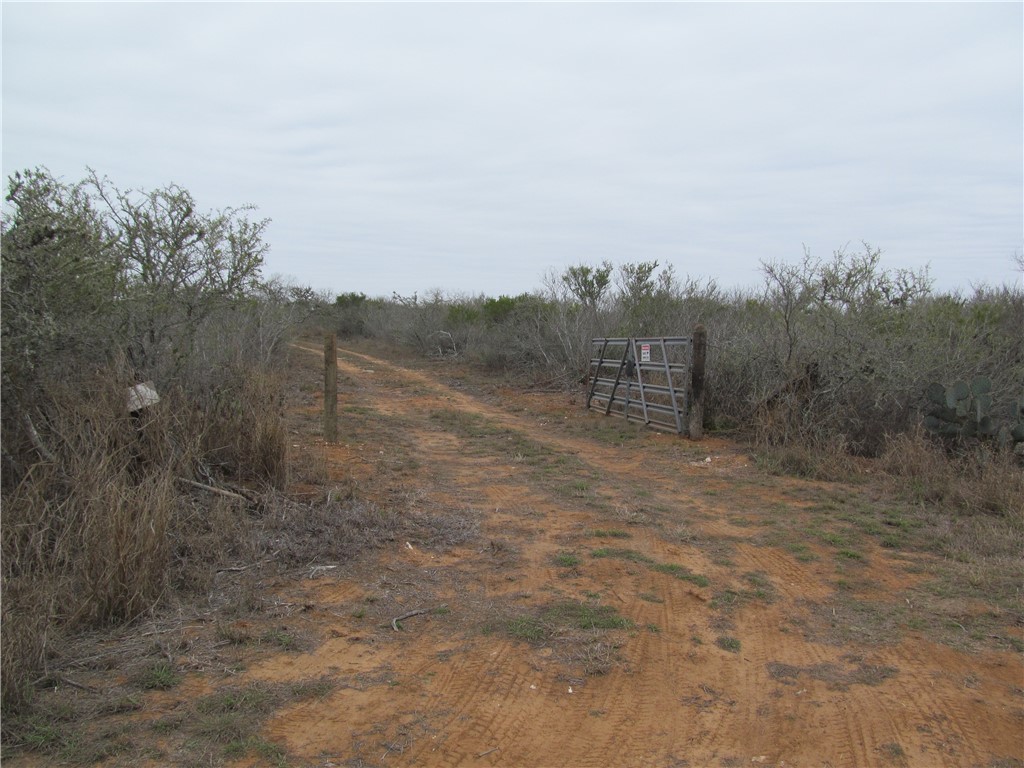 000 Irene Property Photo 17