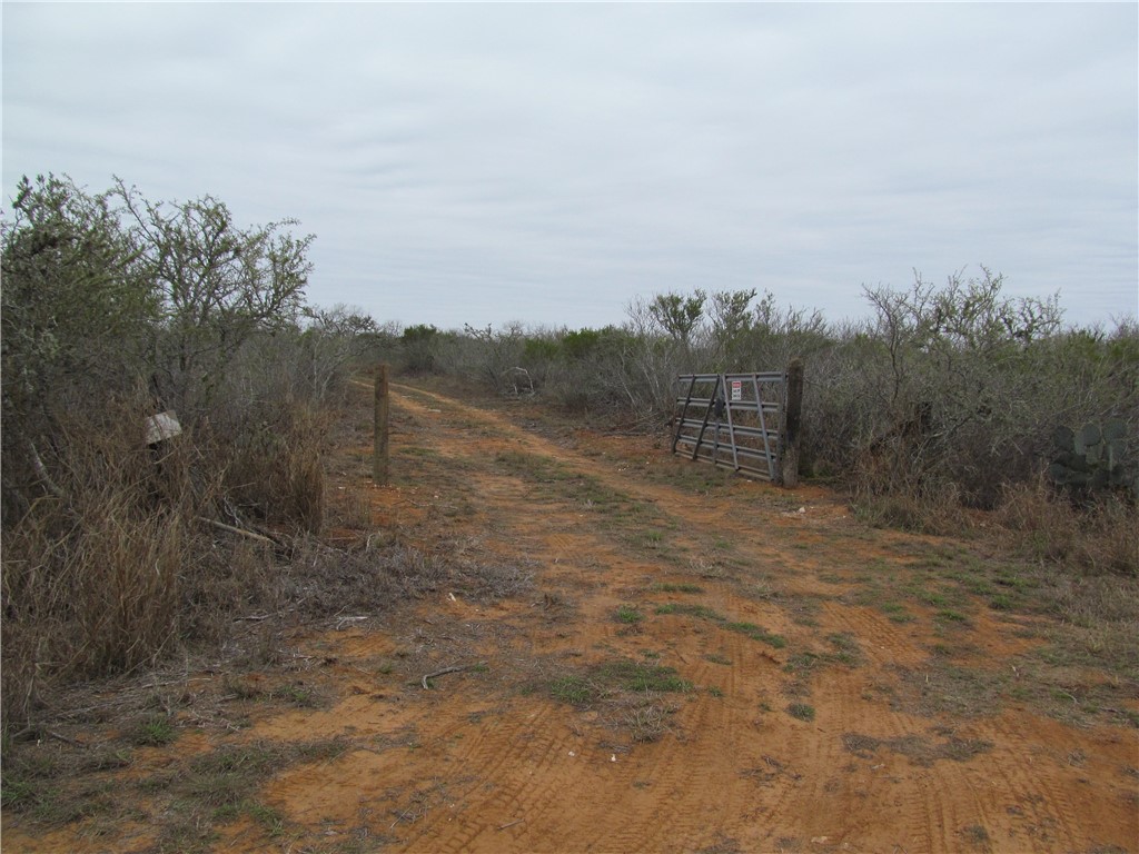 000 Irene Property Photo 18