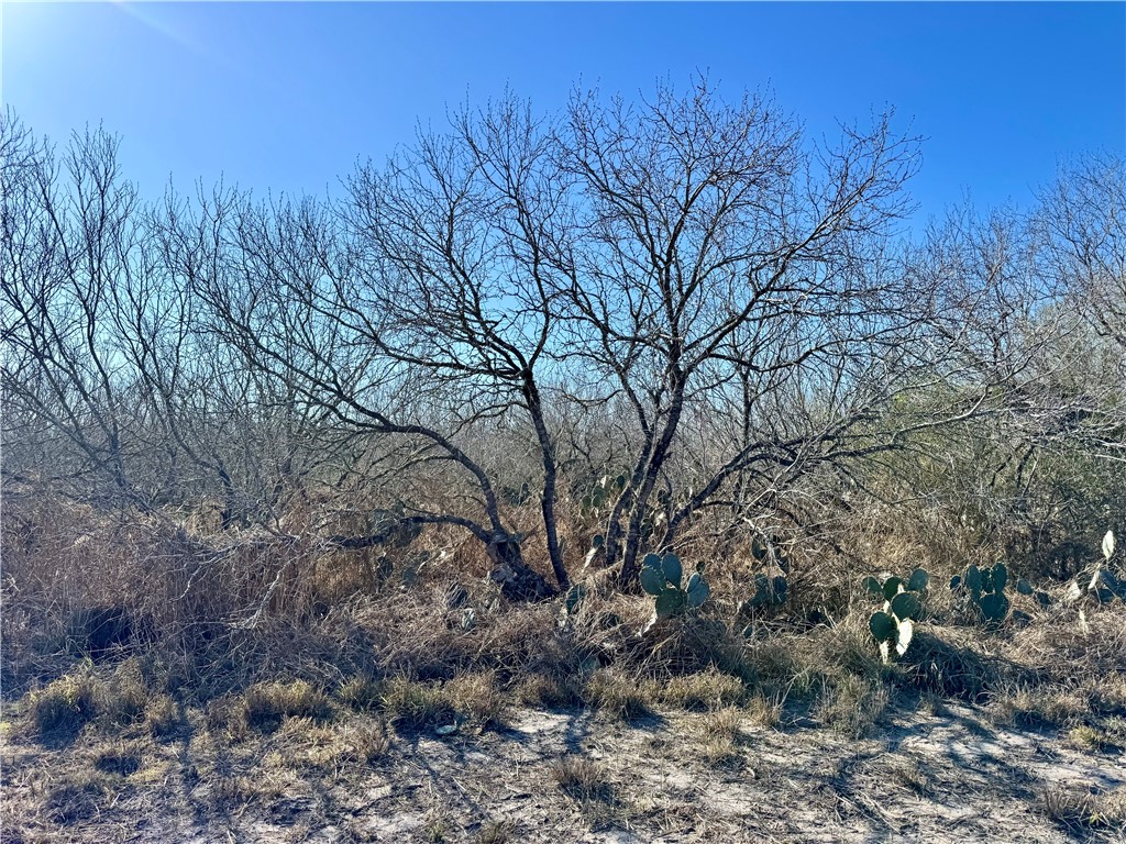0 Fm 3377 Property Photo 2