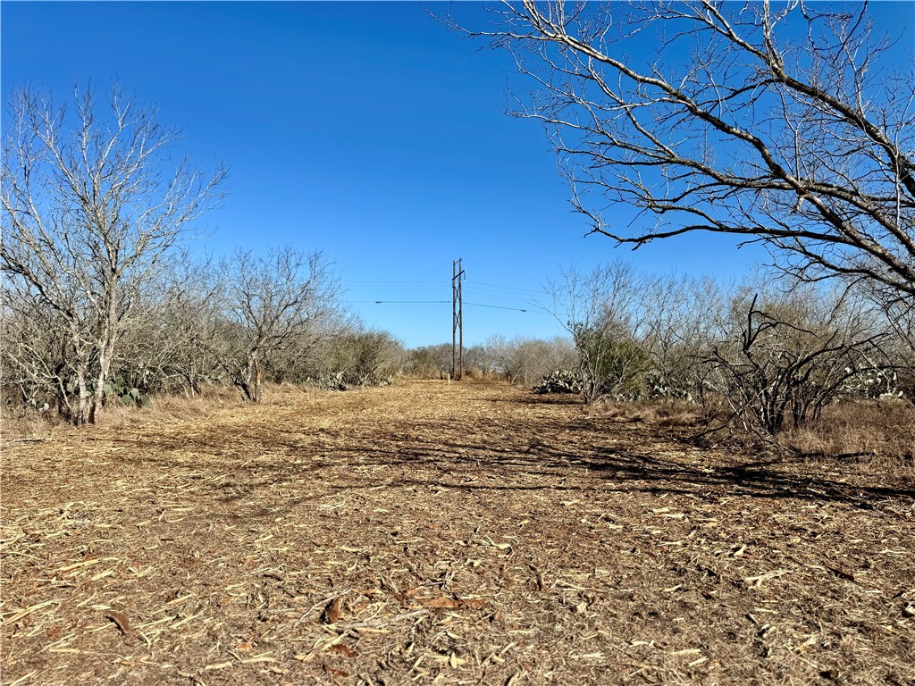 0 Fm 3377 Property Photo 6