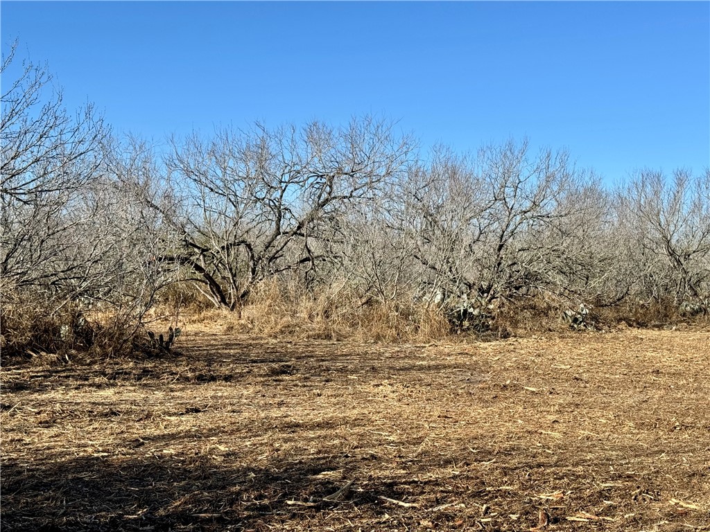 0 Fm 3377 Property Photo 8