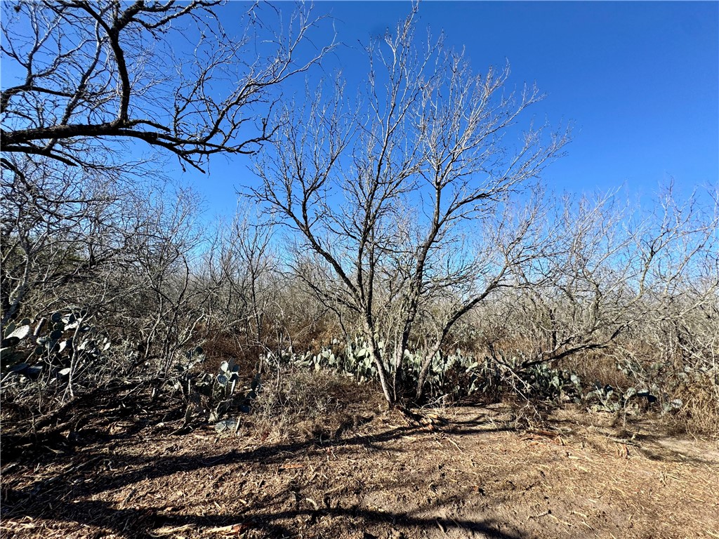 0 Fm 3377 Property Photo 9