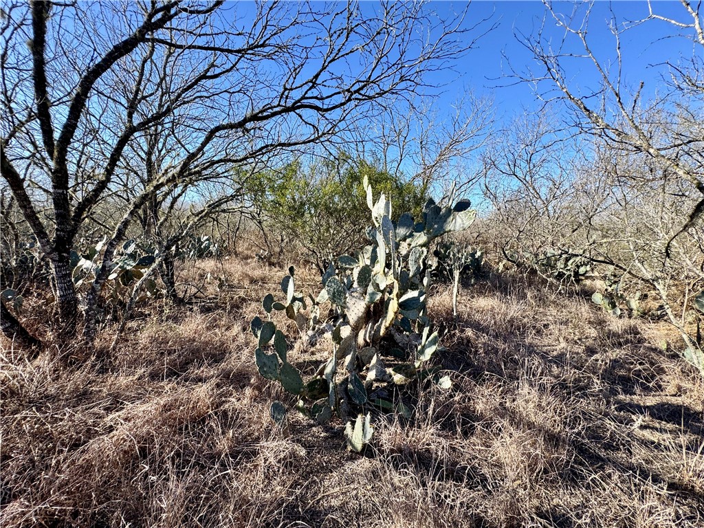 0 Fm 3377 Property Photo 10