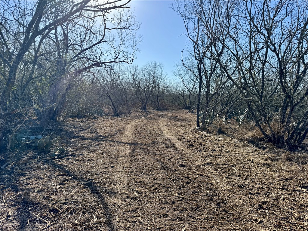 0 Fm 3377 Property Photo 11