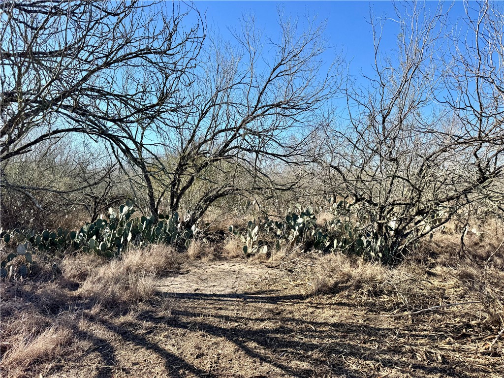 0 Fm 3377 Property Photo 13