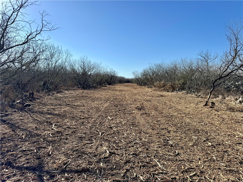0 Fm 3377 Property Photo 15