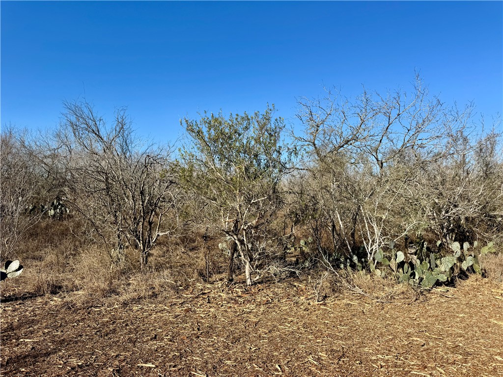 0 Fm 3377 Property Photo 16