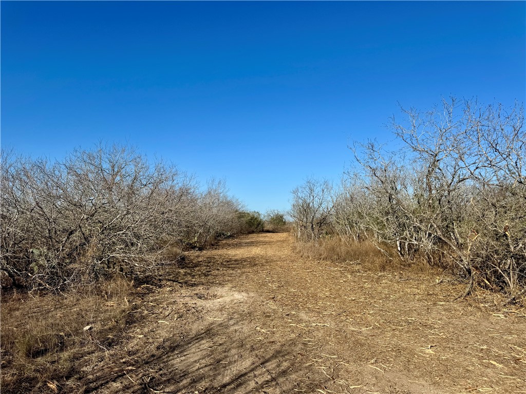 0 Fm 3377 Property Photo 18