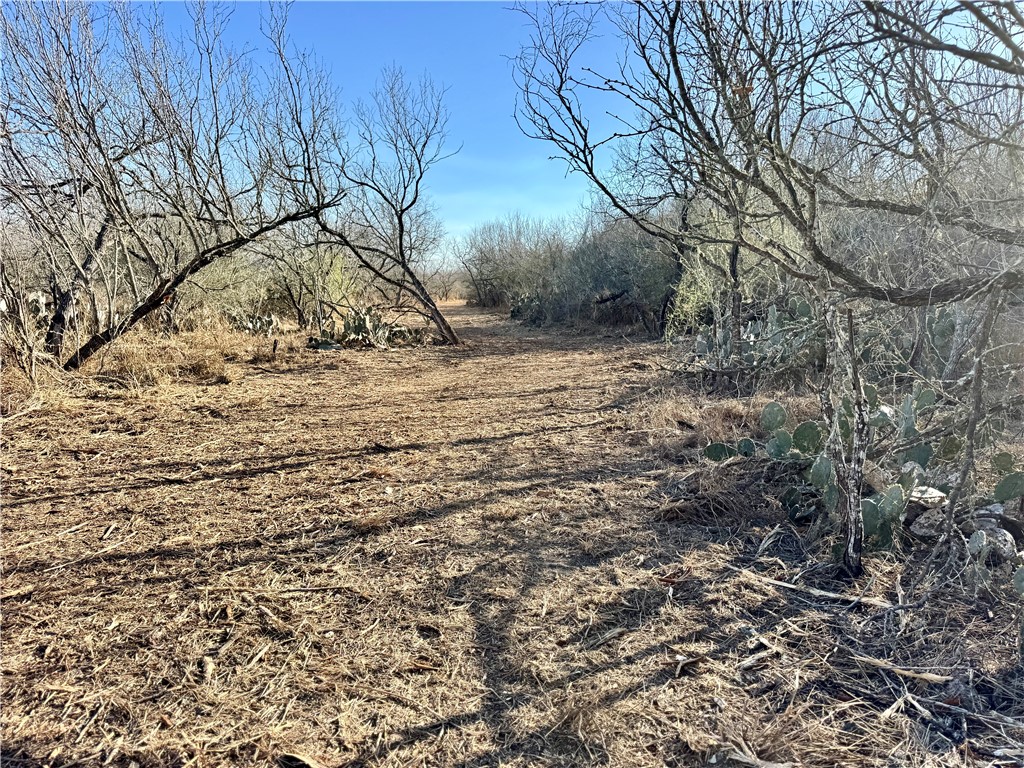 0 Fm 3377 Property Photo 19