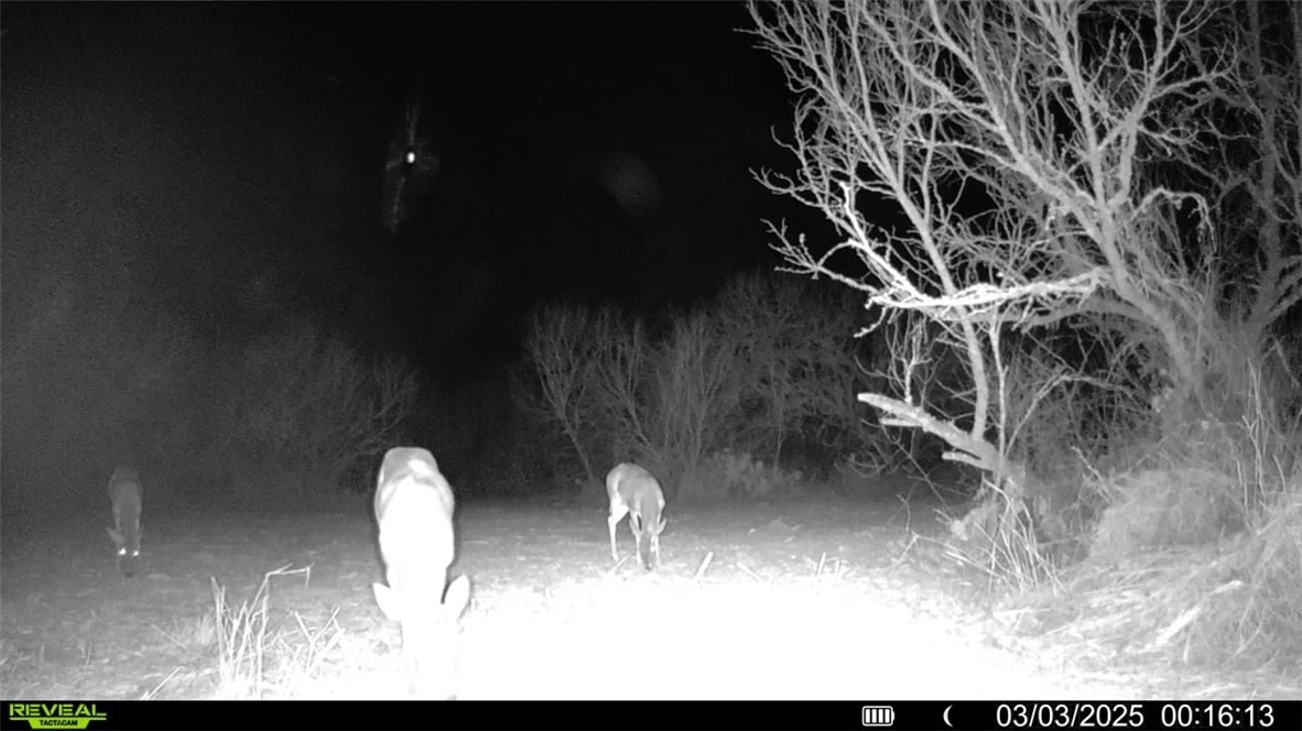 0 Fm 3377 Property Photo 25