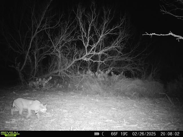 0 Fm 3377 Property Photo 27