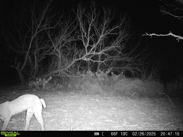 0 Fm 3377 Property Photo 29