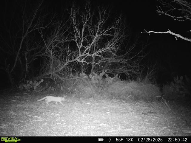 0 Fm 3377 Property Photo 31