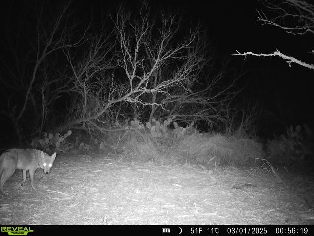0 Fm 3377 Property Photo 32