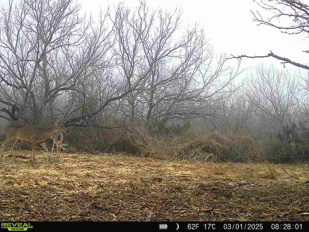 0 Fm 3377 Property Photo 33