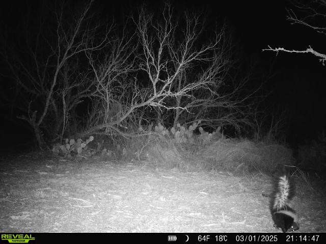 0 Fm 3377 Property Photo 34