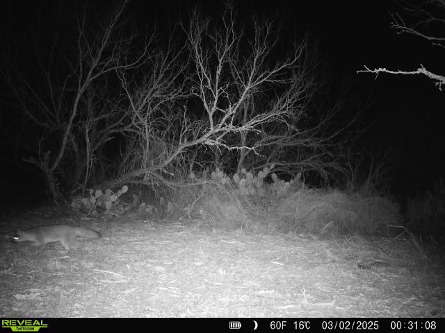 0 Fm 3377 Property Photo 35