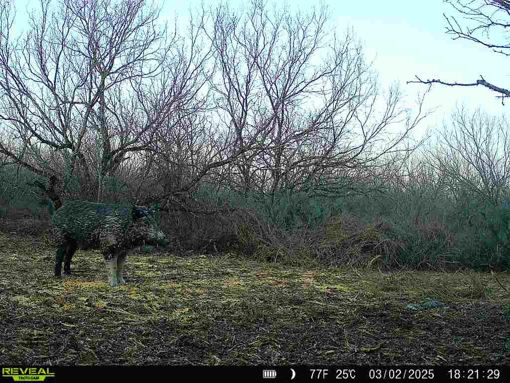 0 Fm 3377 Property Photo 37