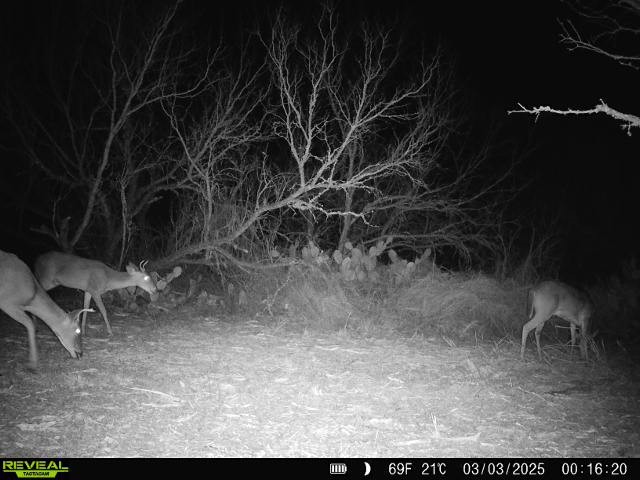 0 Fm 3377 Property Photo 38