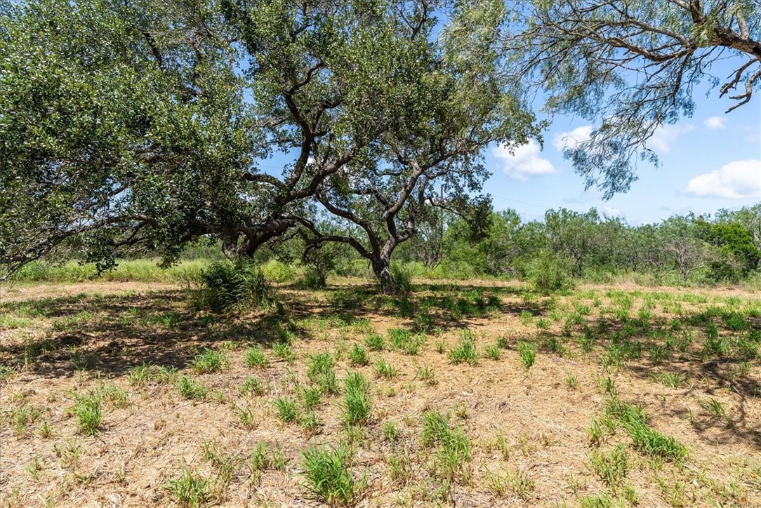 00 Us-181 S Property Photo 2