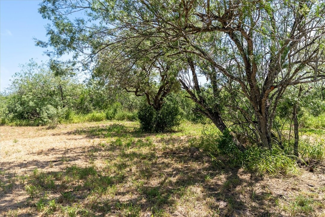00 Us-181 S Property Photo 4