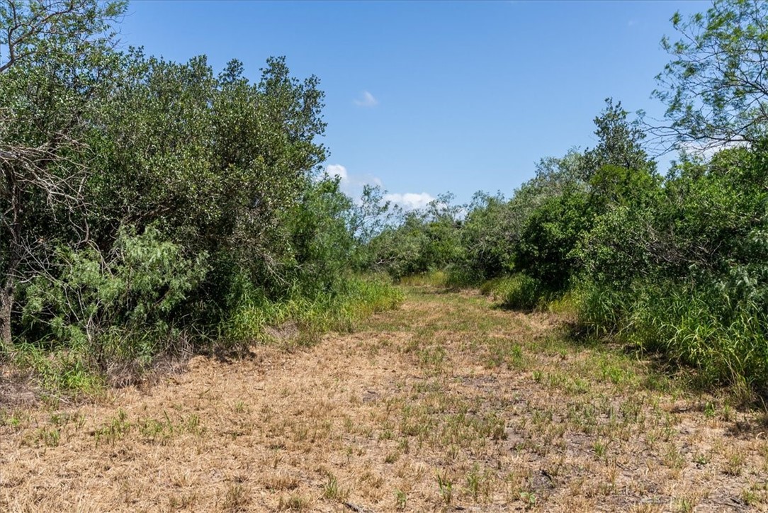00 Us-181 S Property Photo 5