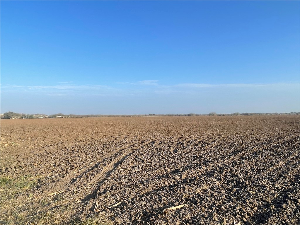 Lot 3 County Road 798 Property Photo