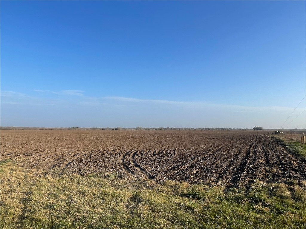 Lot 3 County Road 798 Property Photo 2