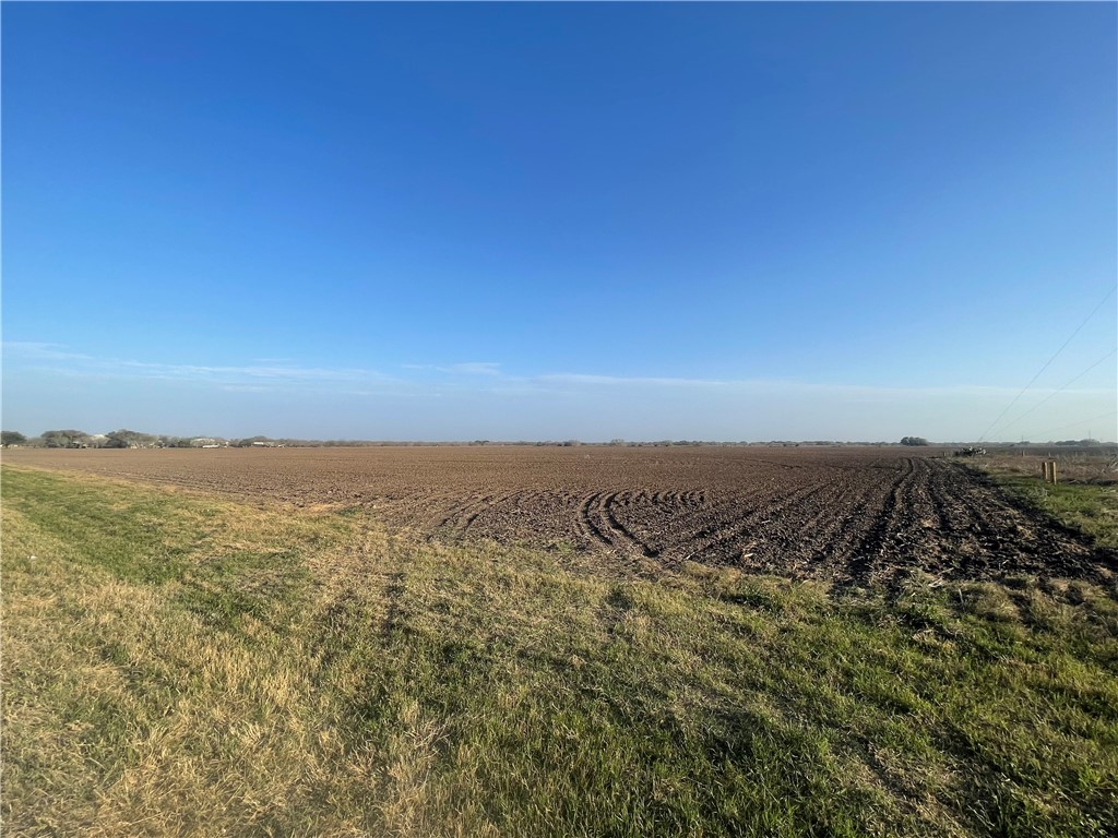 Lot 4 County Road 798 Property Photo 3
