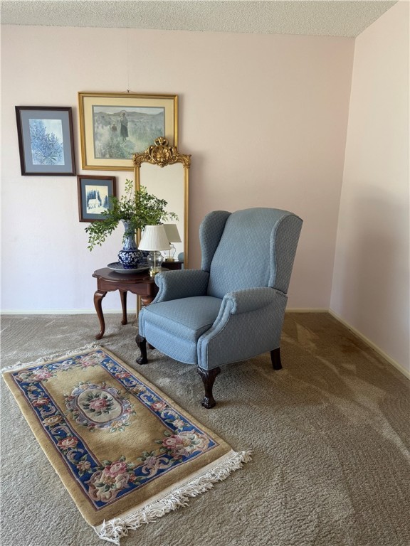 230 Terlingua Dr Property Photo 2