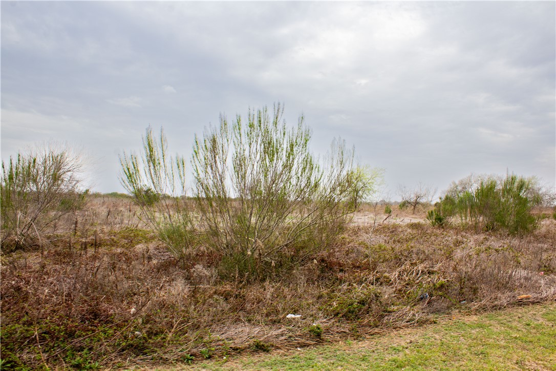 9417 County Road 2015 Property Photo 6