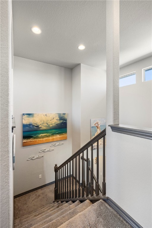 8218 Barlovento St Property Photo 22