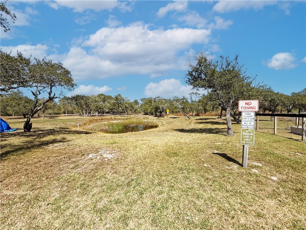 146 Spring Property Photo 31