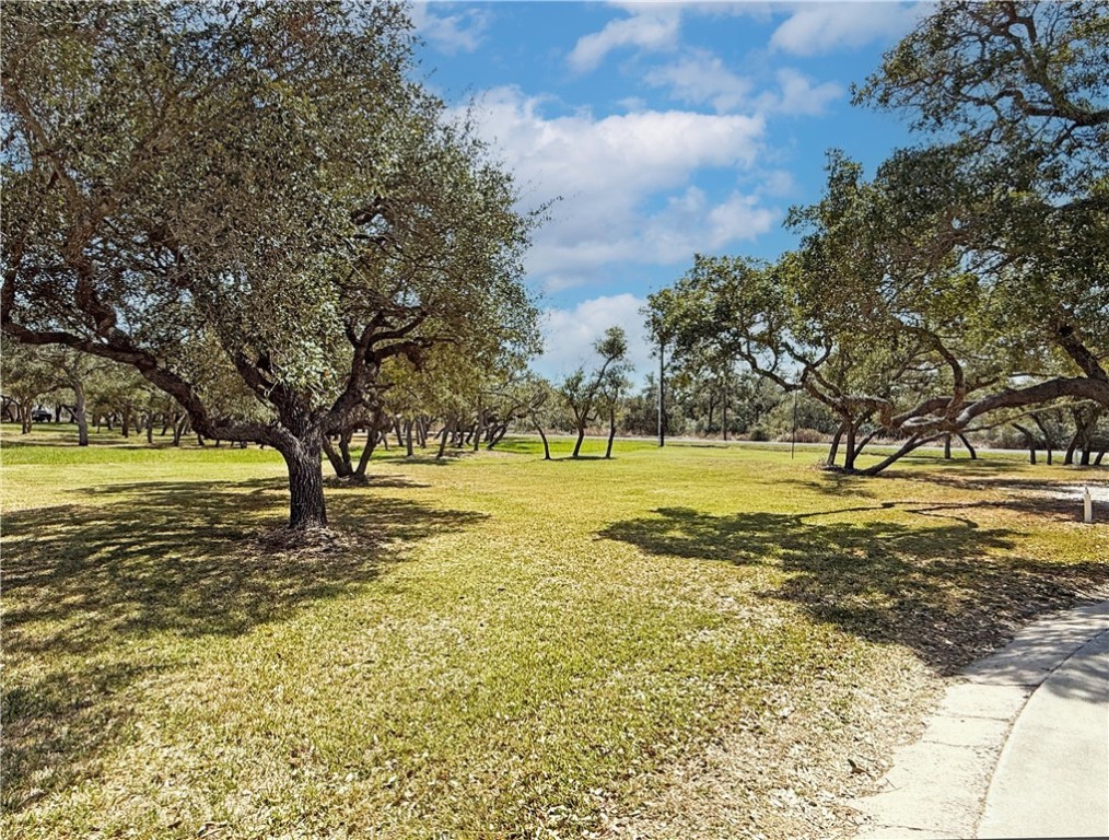 146 Spring Property Photo 35