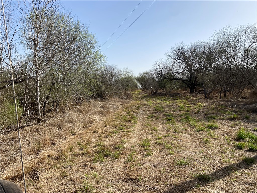 8736 County Road 618 Property Photo 2