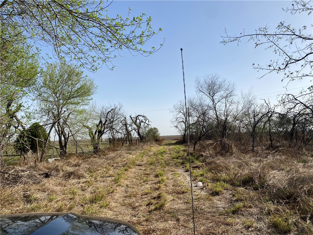 8736 County Road 618 Property Photo 8