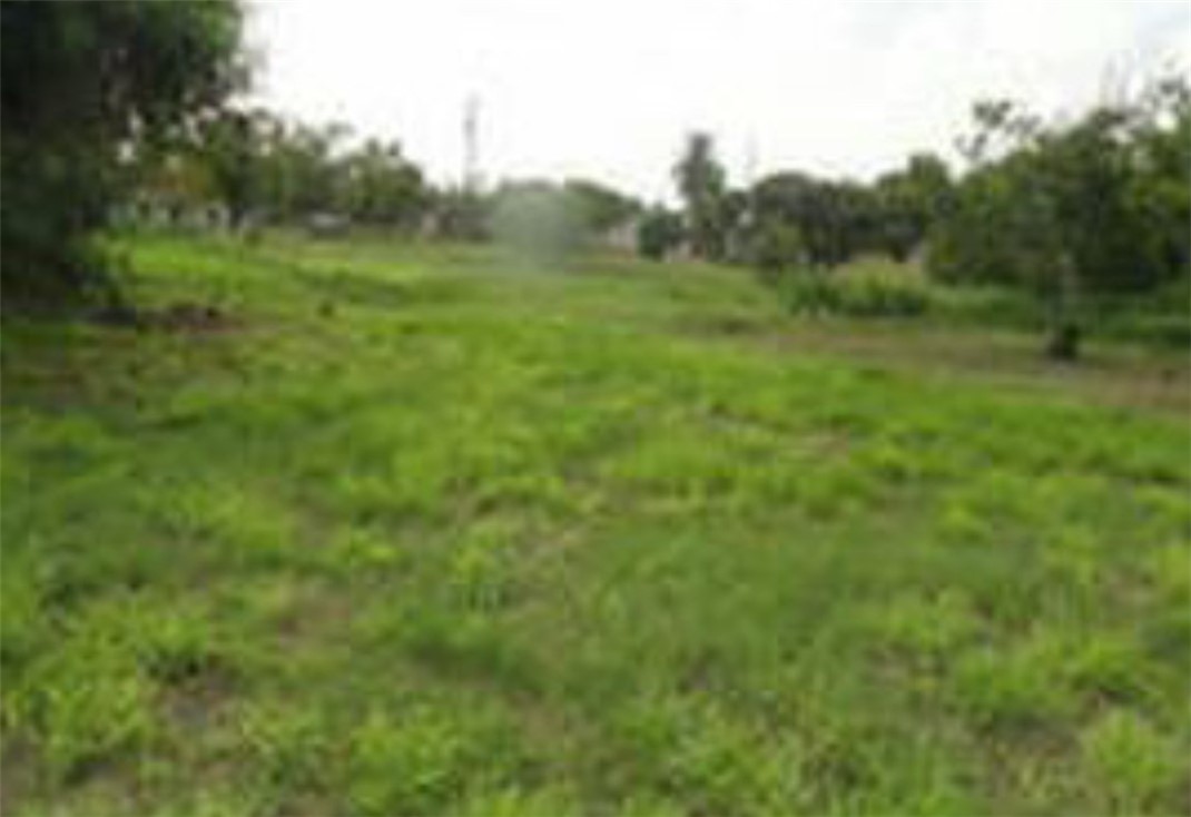 510 Valerie St Property Photo 1