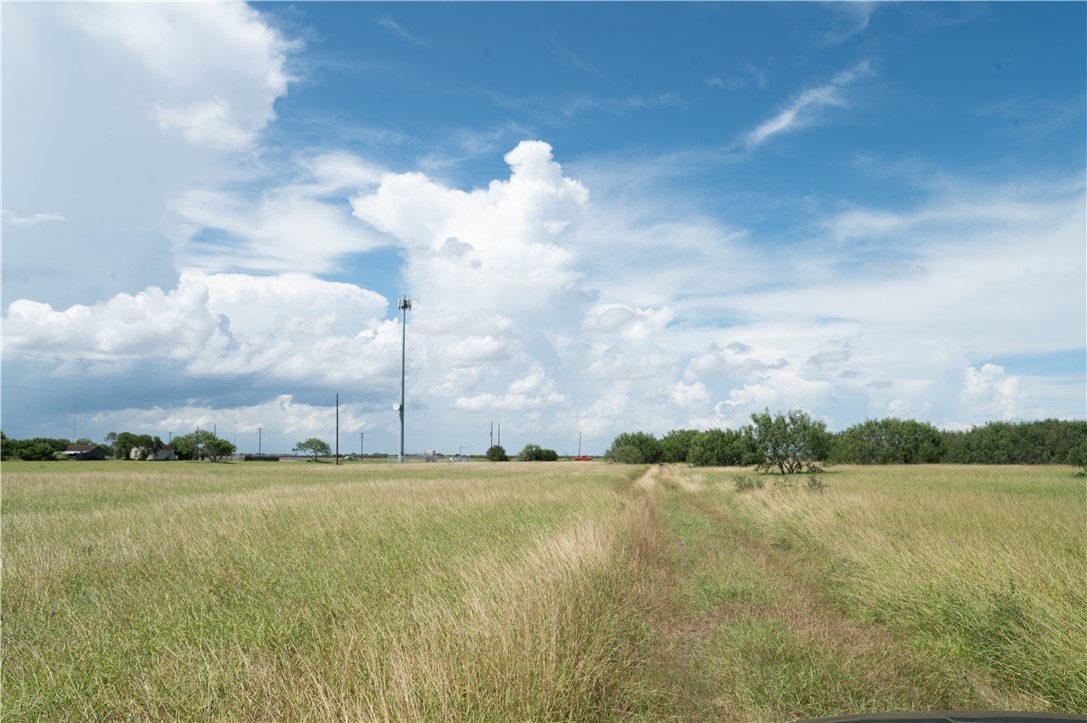 4871 Fm Rd 665 Property Photo 5