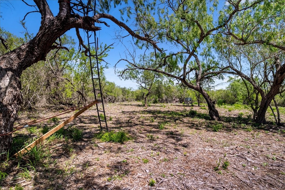00 Cr 175 Property Photo