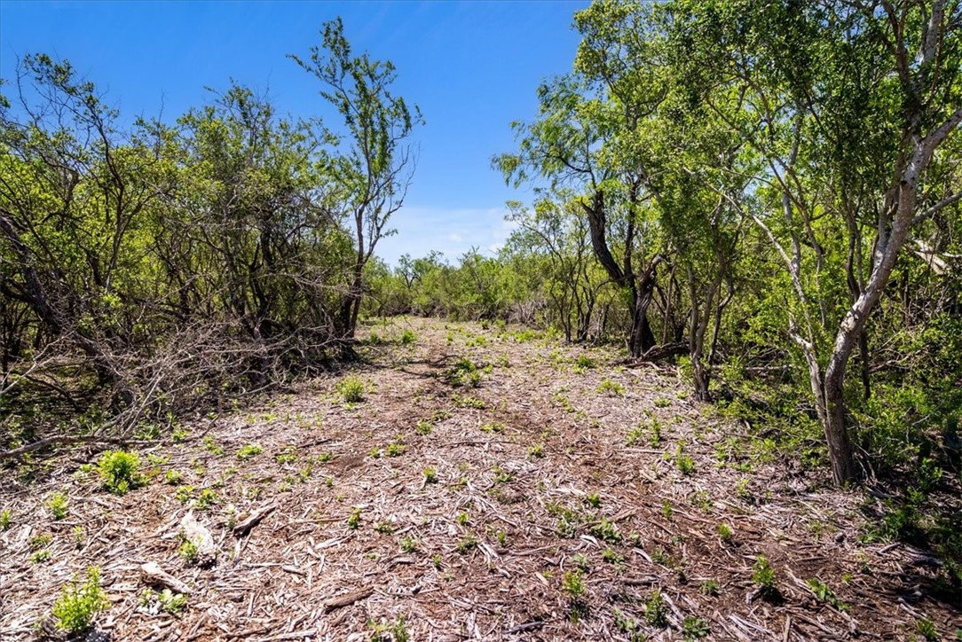 00 Cr 175 Property Photo 3