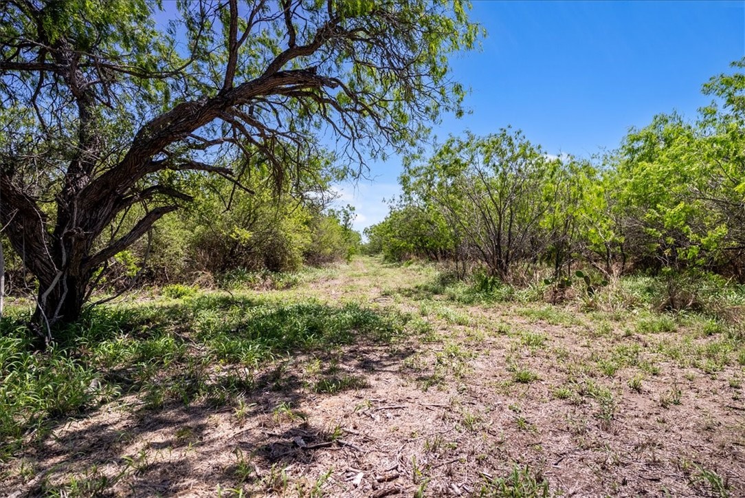 00 Cr 175 Property Photo 6