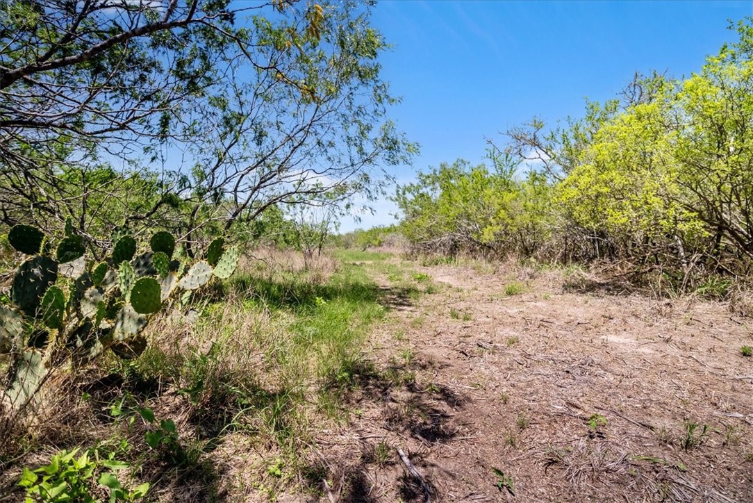 00 Cr 175 Property Photo 8